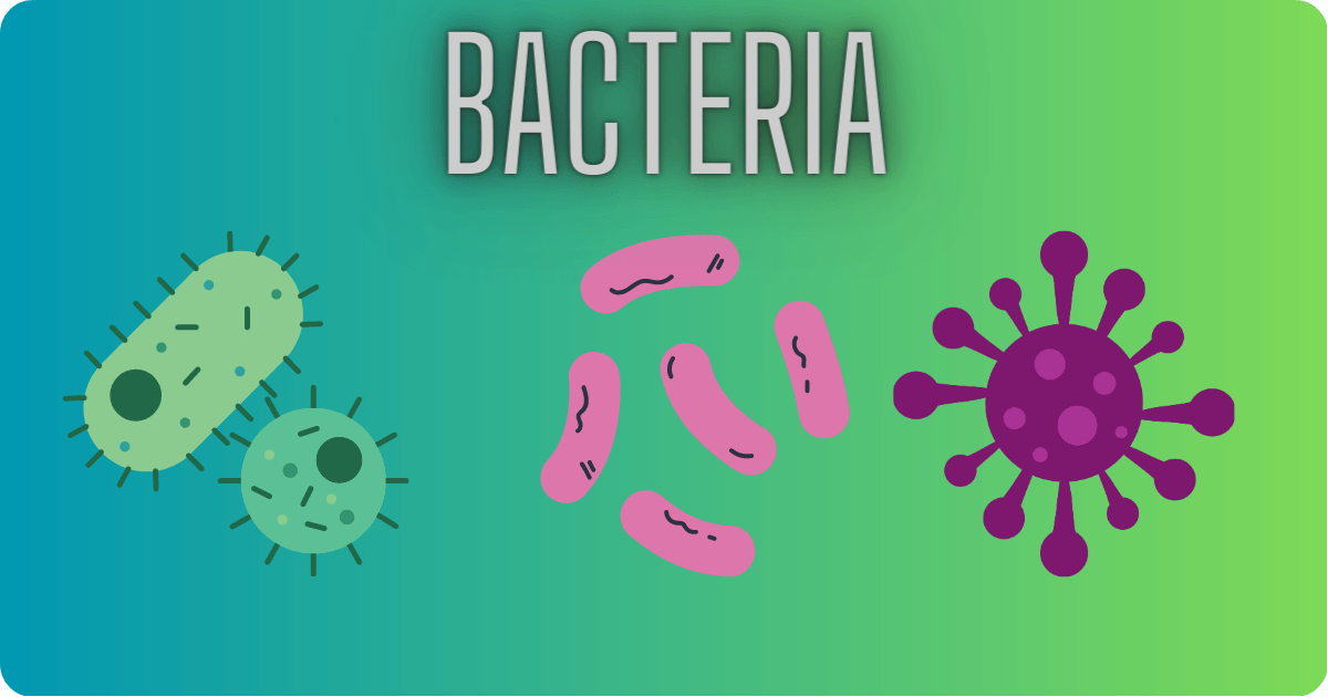 Bacteria Thi Thata Rogo In Gujarati